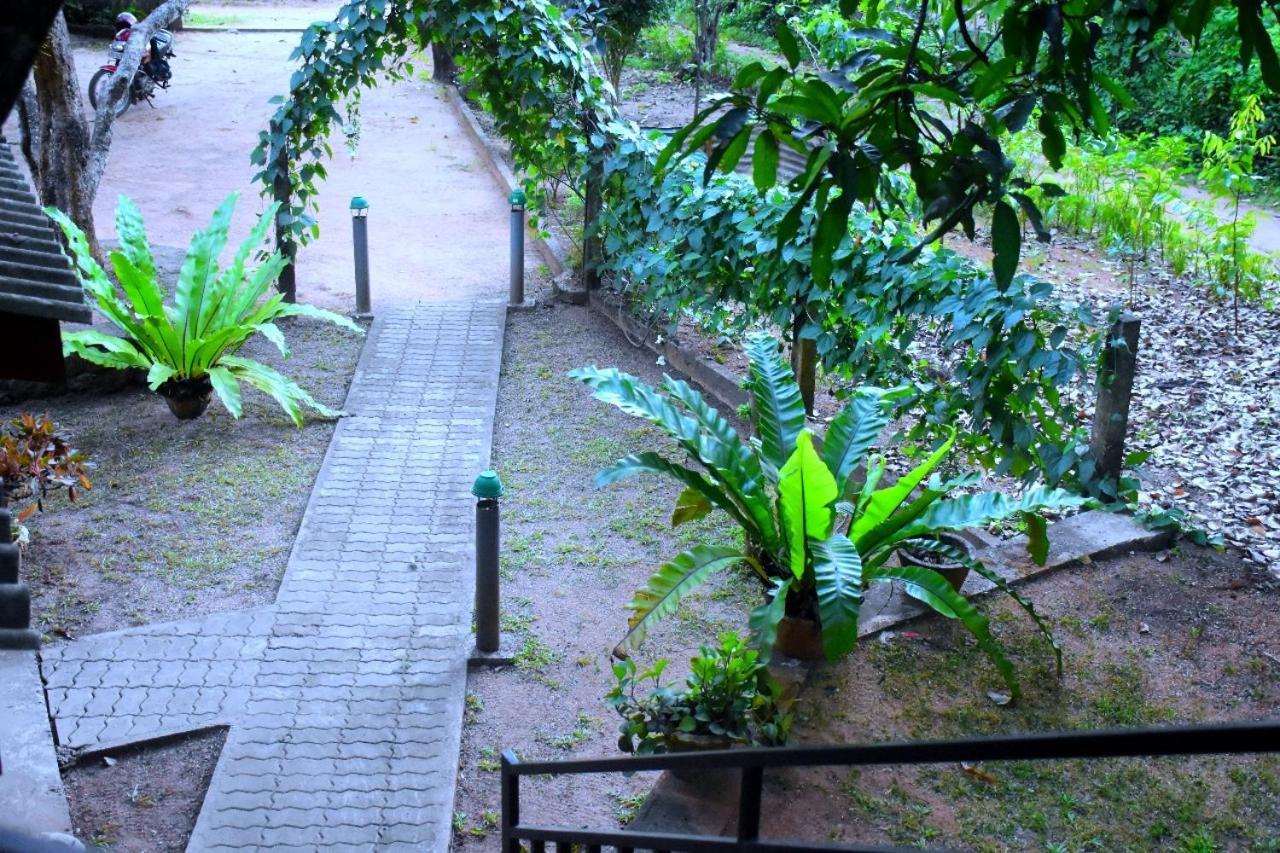 Wild Heaven Udawalawe Hotell Eksteriør bilde