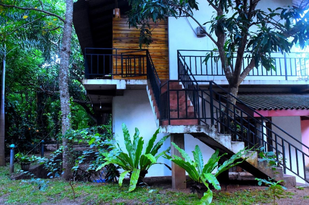 Wild Heaven Udawalawe Hotell Eksteriør bilde