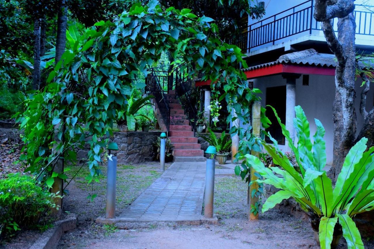 Wild Heaven Udawalawe Hotell Eksteriør bilde