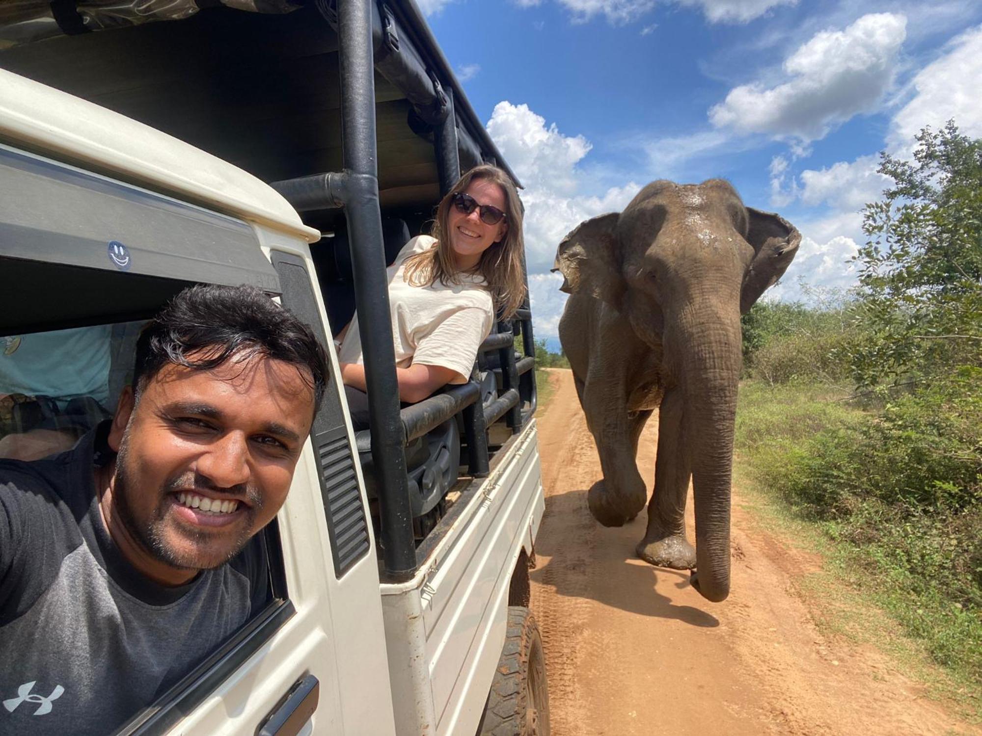 Wild Heaven Udawalawe Hotell Eksteriør bilde
