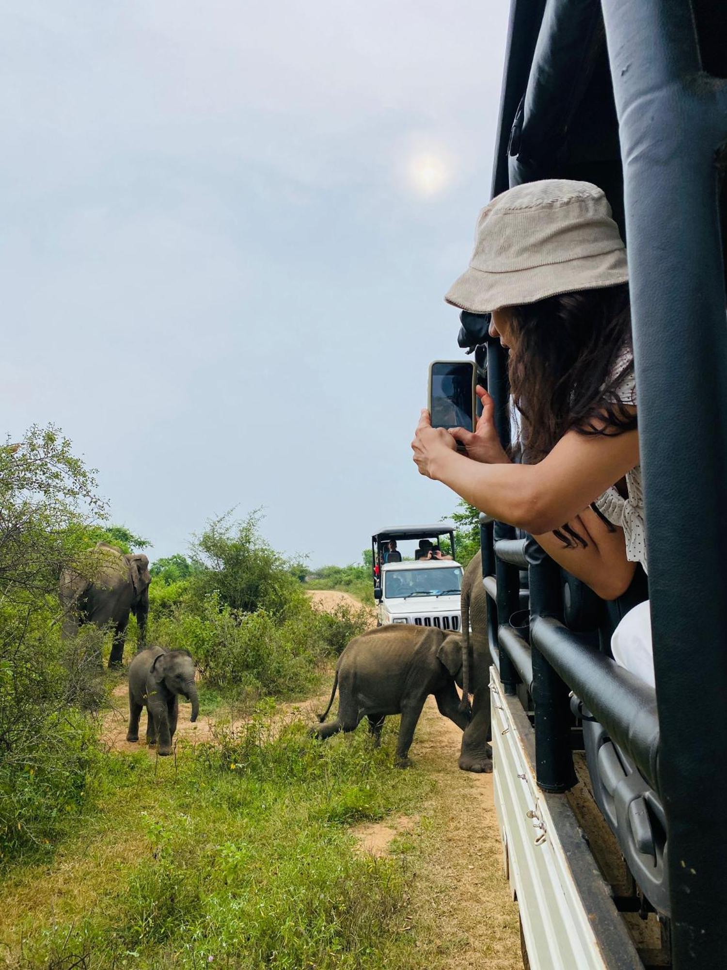 Wild Heaven Udawalawe Hotell Eksteriør bilde