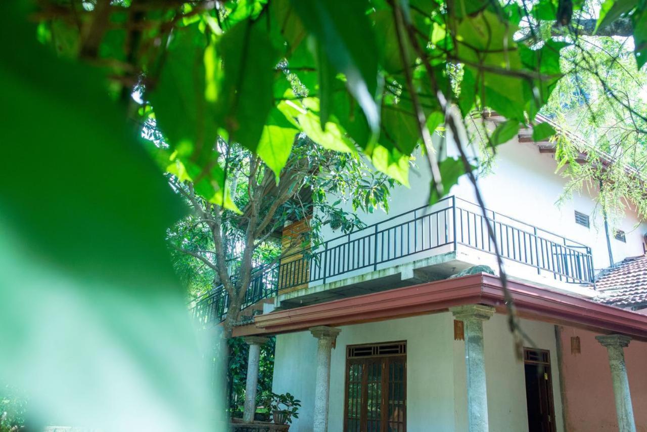 Wild Heaven Udawalawe Hotell Eksteriør bilde
