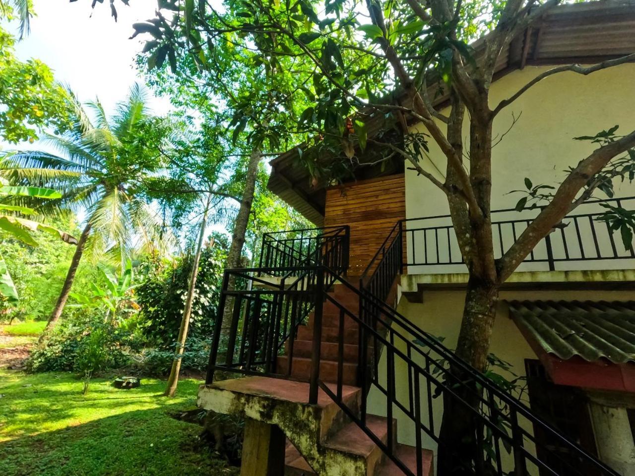 Wild Heaven Udawalawe Hotell Eksteriør bilde