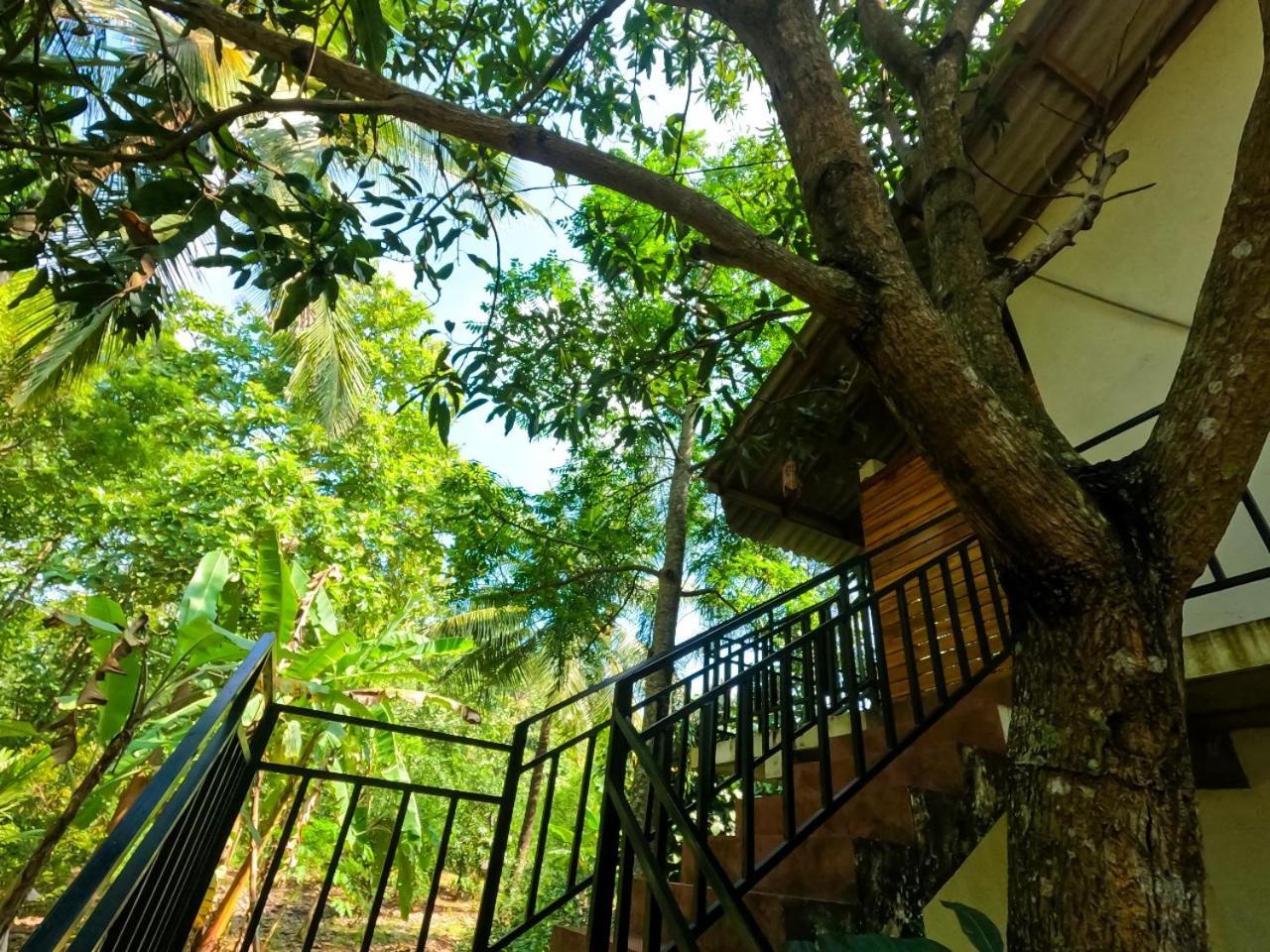 Wild Heaven Udawalawe Hotell Eksteriør bilde