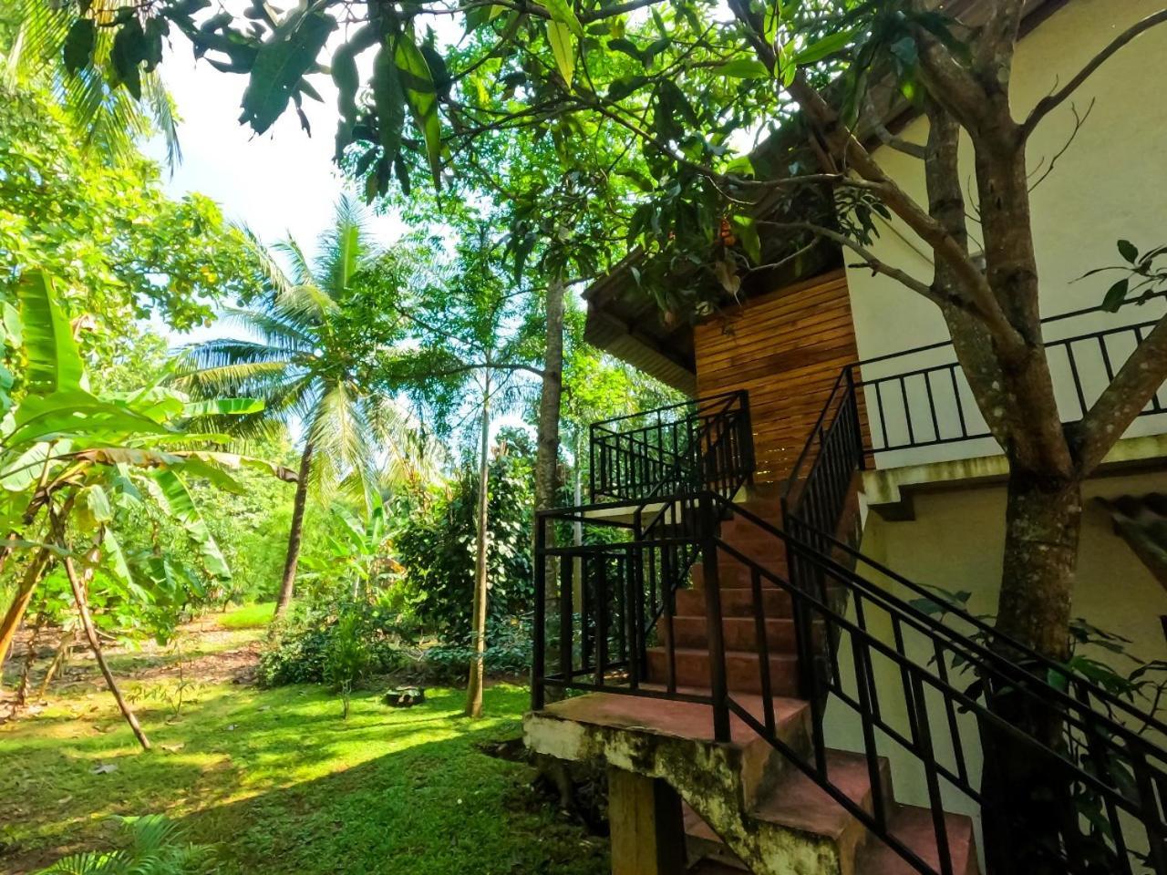 Wild Heaven Udawalawe Hotell Eksteriør bilde