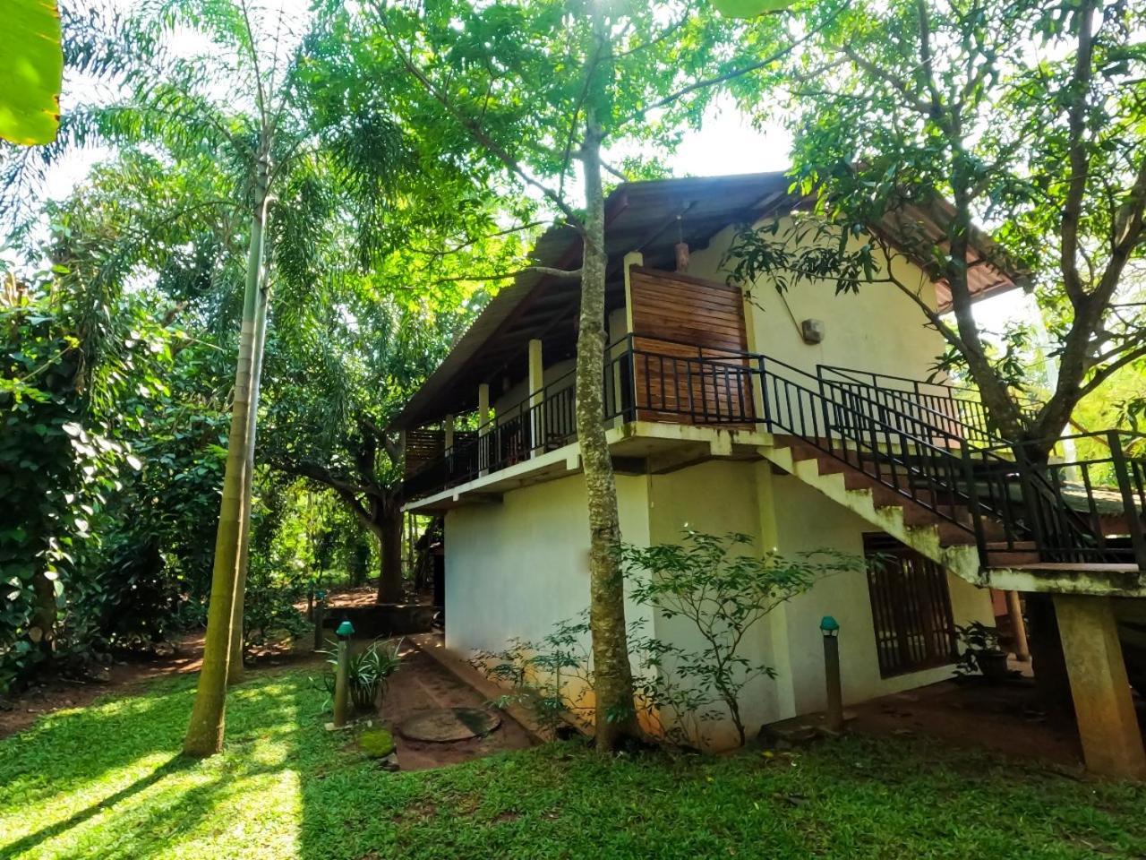 Wild Heaven Udawalawe Hotell Eksteriør bilde