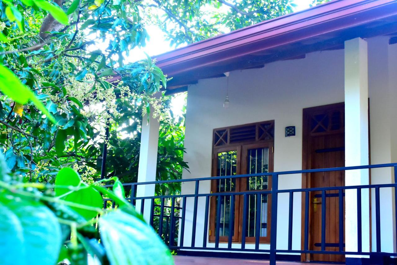 Wild Heaven Udawalawe Hotell Eksteriør bilde